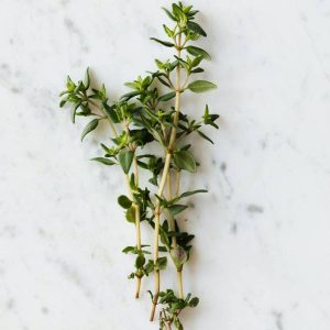 Thyme