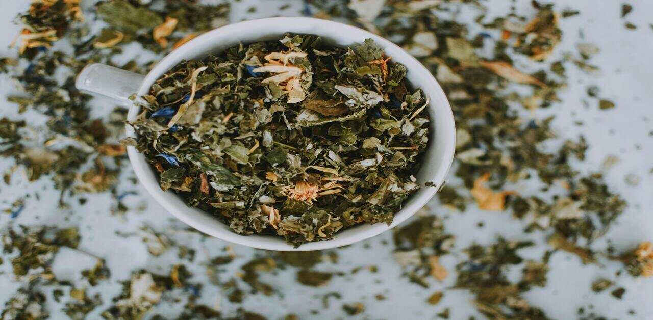 Best green Tea brands