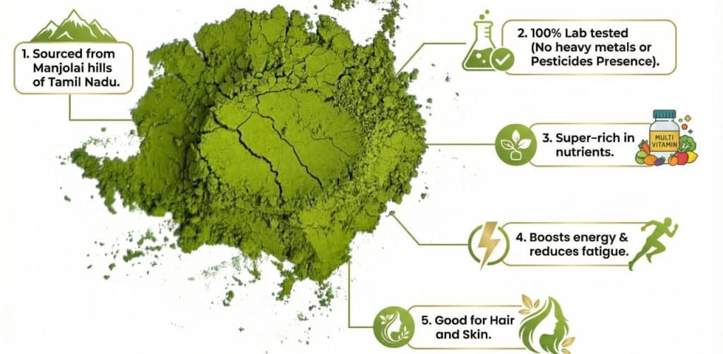moringa powder benefits