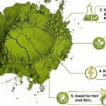 moringa powder benefits