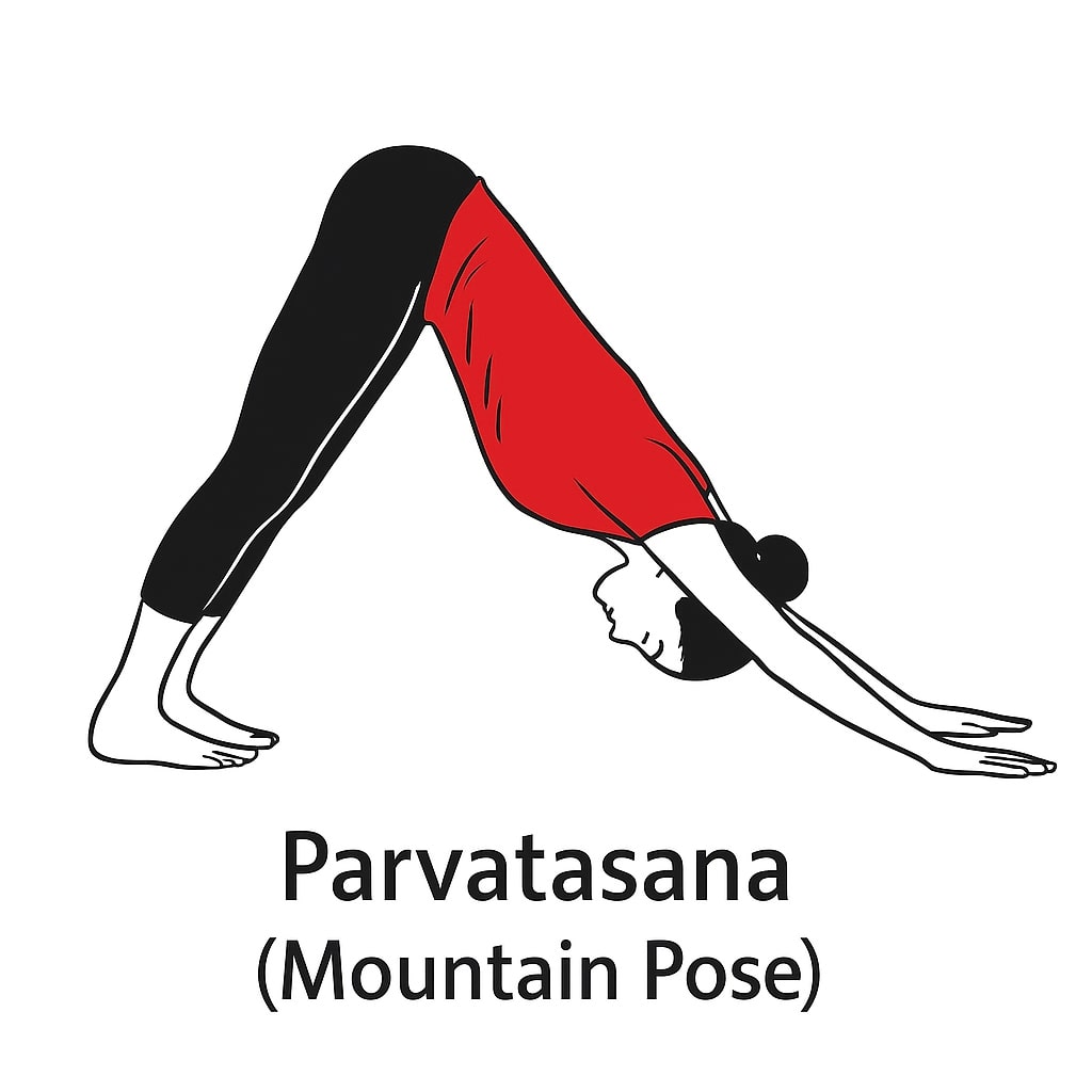 suryanamaskar 7
