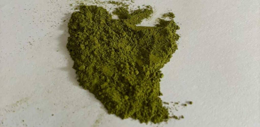 Conventional Moringa Powder