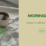 Moringa Tea