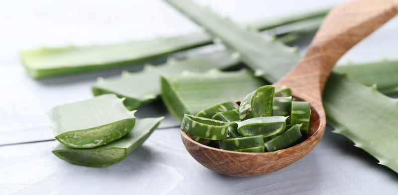 Top 5 Benefits of Using Aloe Vera Gel for Hair