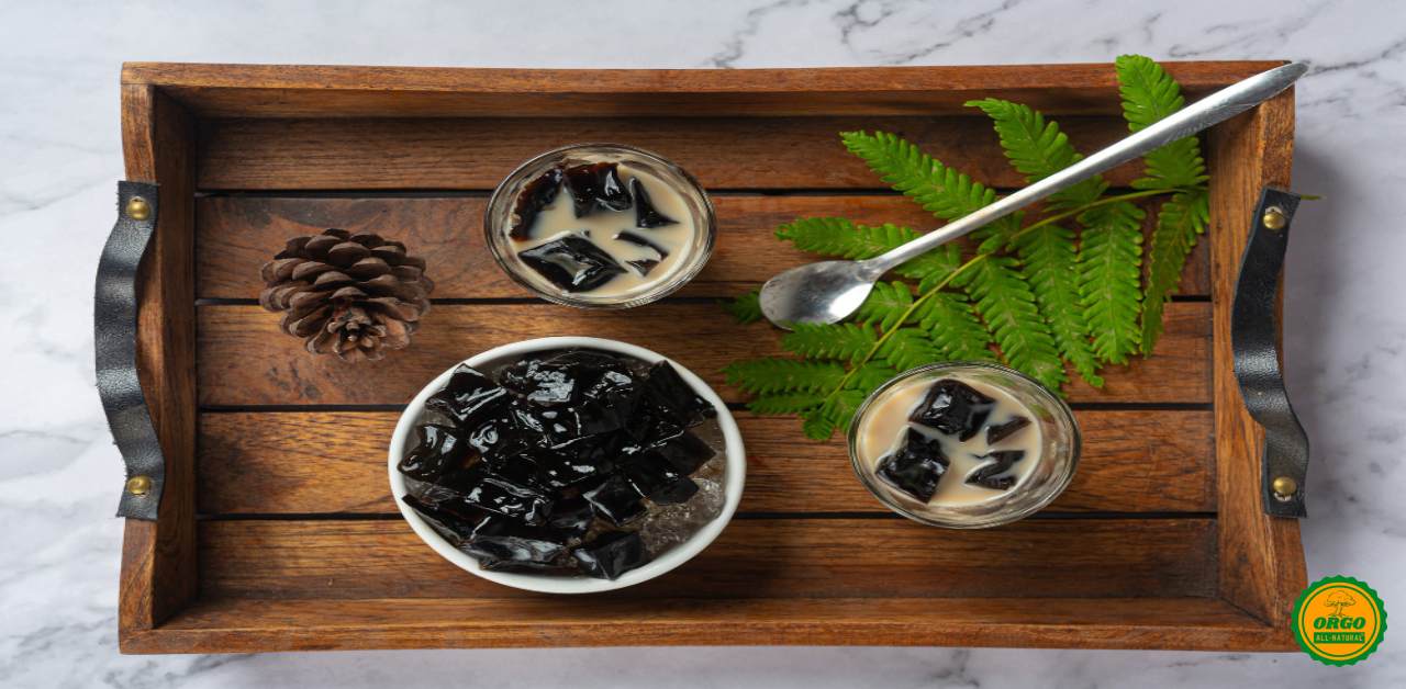 10 Best Shilajit Brands in India