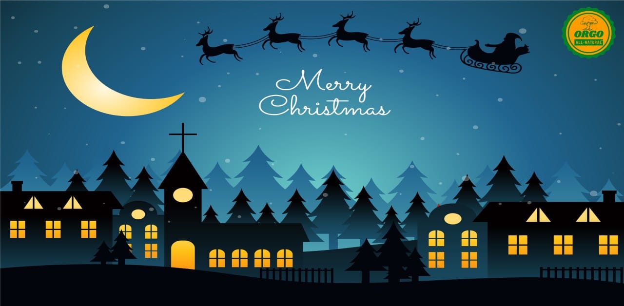 Christmas 2025: Know Date, History, Significance, and Traditions of This Day
