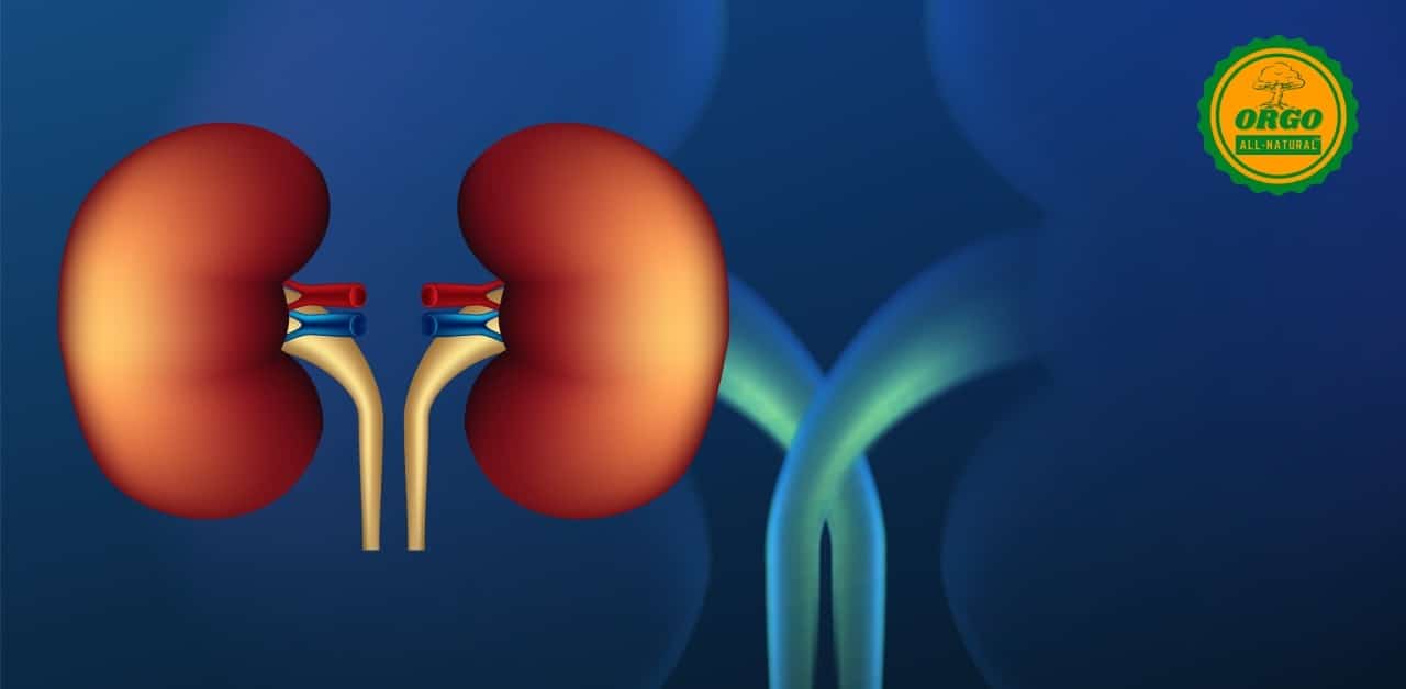 Natural Remedies to Treat Kidney Stones