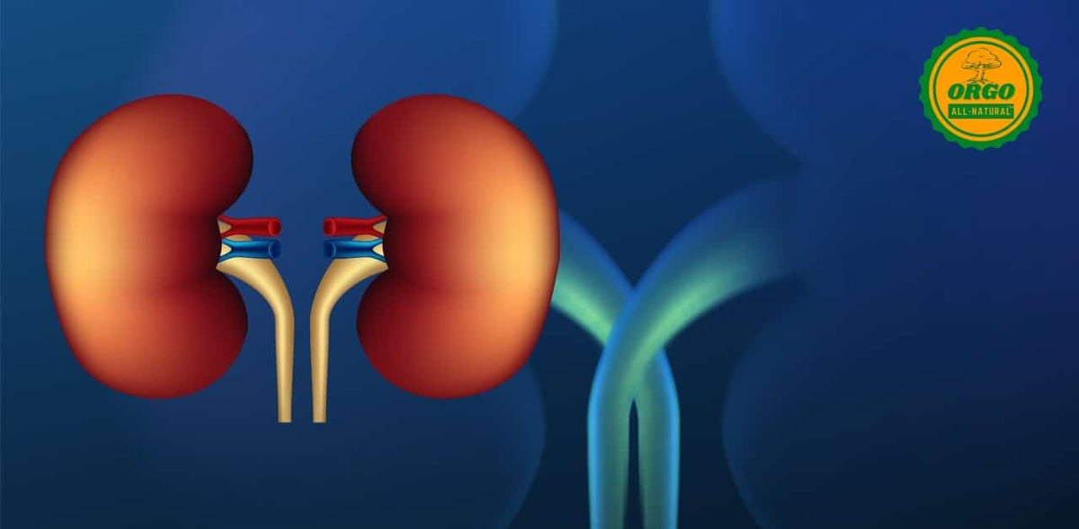 Natural Remedies to Treat Kidney Stones