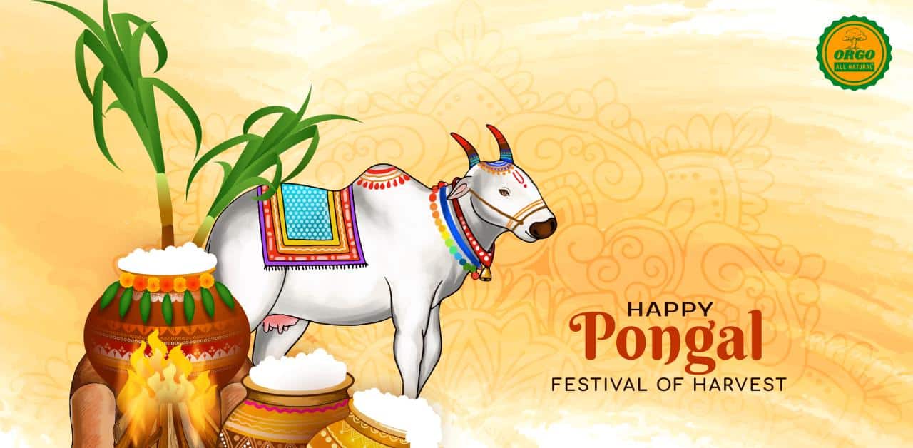 Pongal 2025 : Date, Time, Significance, Rituals