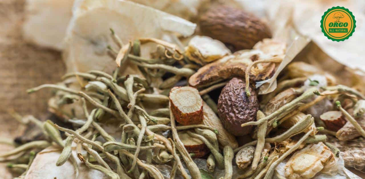 Ashwagandha Shatavari : Benefits, Comparison, and Usage