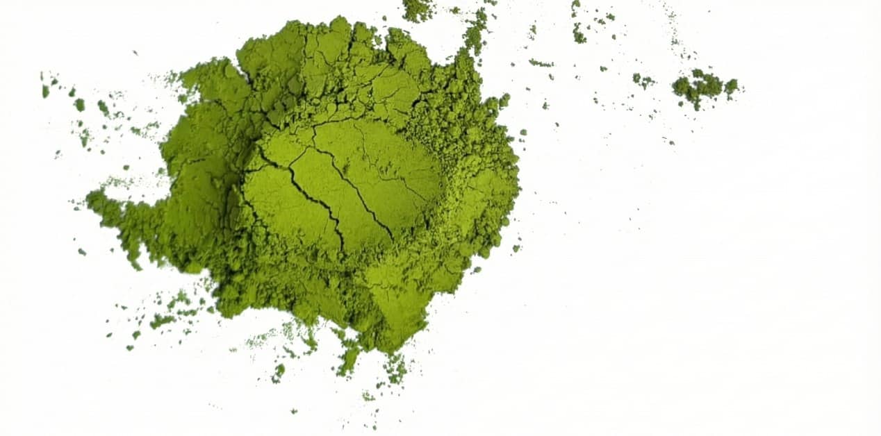 5 best moringa powder brand in India