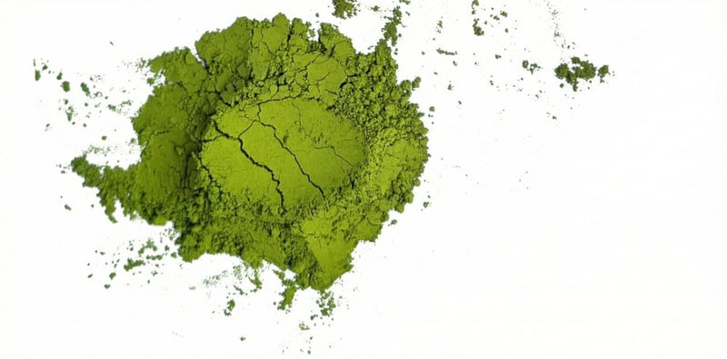 5 best moringa powder brand in India
