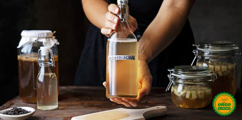 Amazing Benefits of Kombucha You Should Know