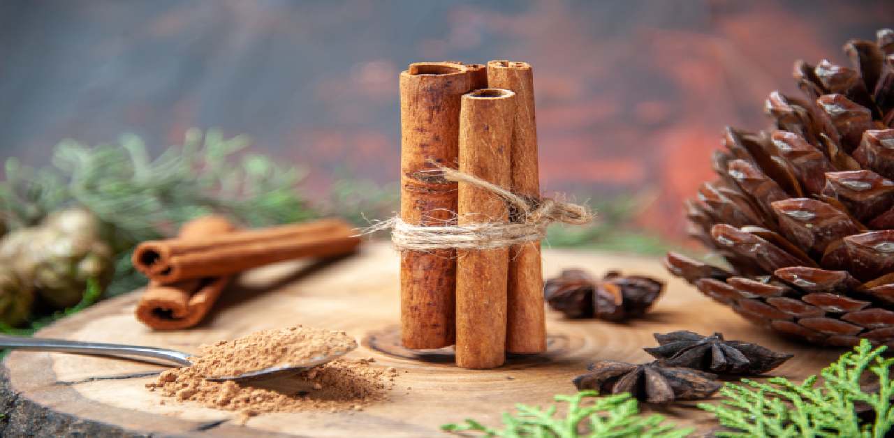 10 Best Ashwagandha Brands in India