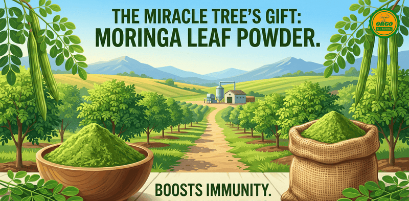 Best Moringa Powder at Amazon