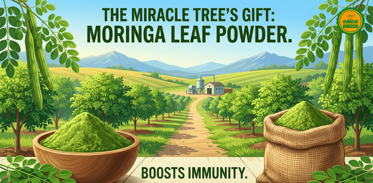 Best Moringa Powder at Amazon