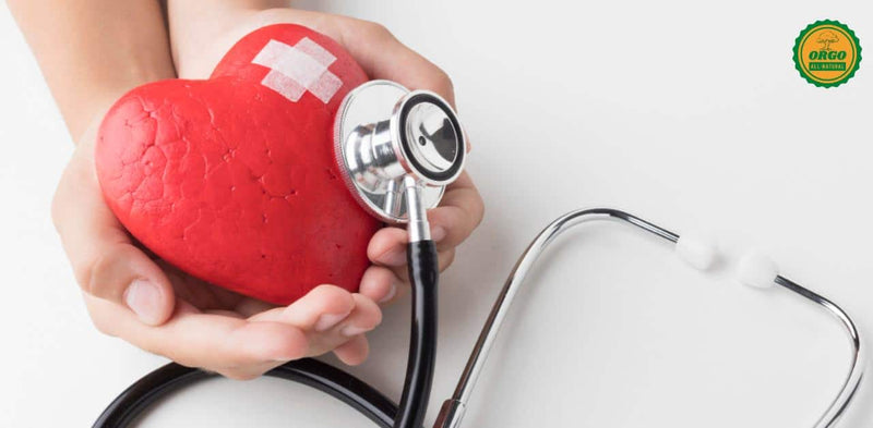 World heart day 2025: History and significance