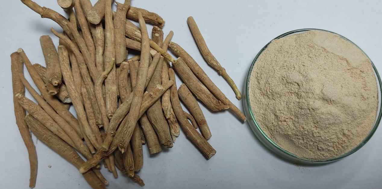 Ashwagandha Powder Extract in South Africa