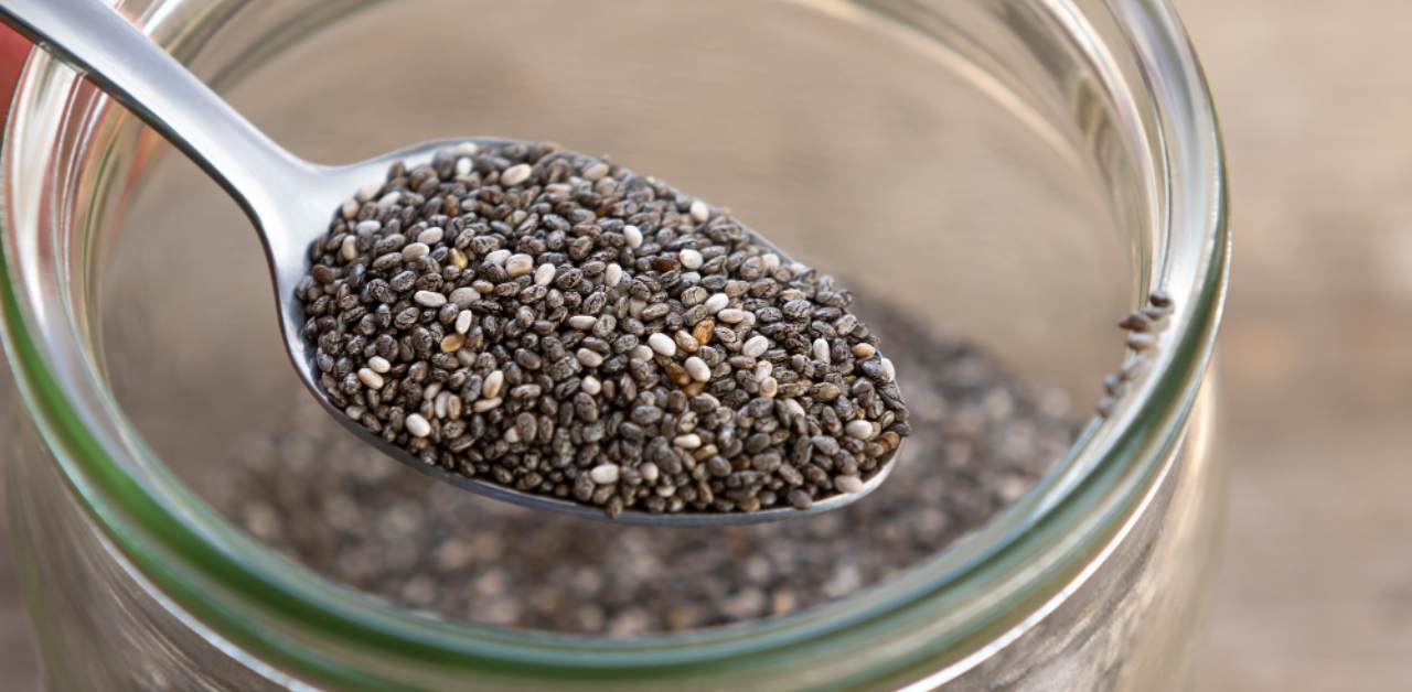 Chia seeds Supplier Wholesaler in France