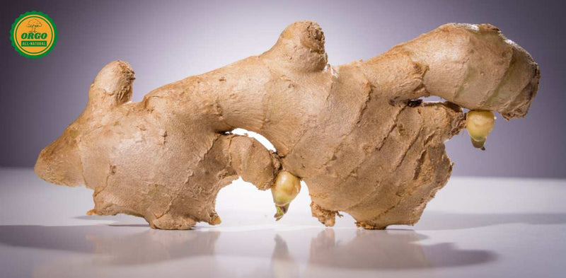 Best Ginger Brands in India