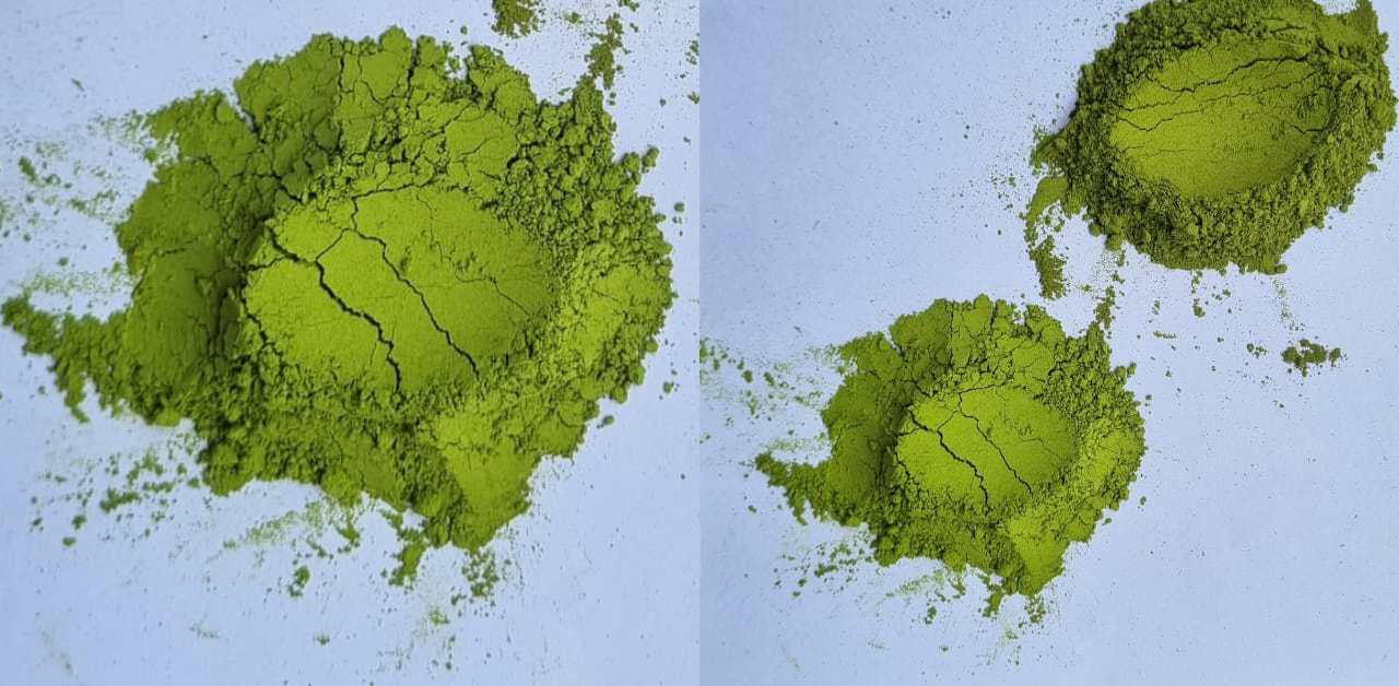 Organic Moringa Powder Supplier in Abu Dhabi