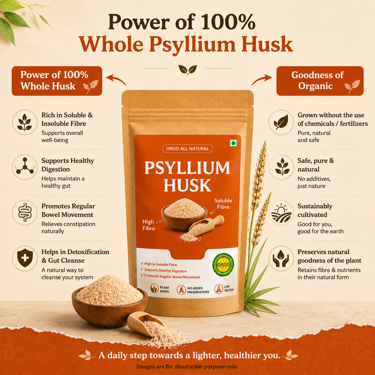 Psyllium Husk (100% Natural Isabgol)
