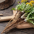 Dandelion Root