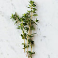 Thyme