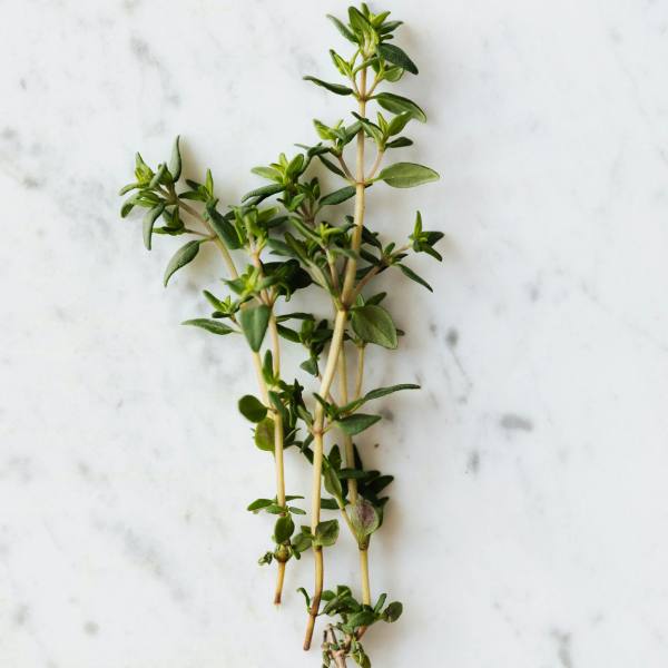 Thyme