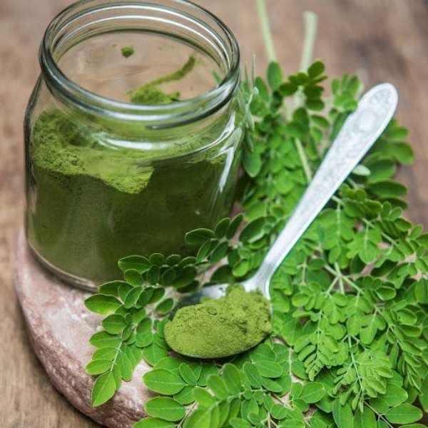 Moringa