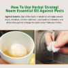 Product: Herbal Strategi Neem Essential Oil – 50ml