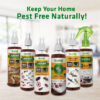 Product: Herbal Strategi Bed Bug Repellent