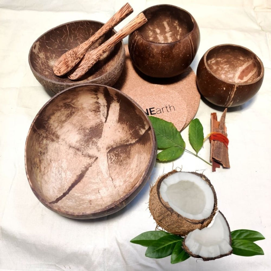 Product: Coconut Shell Bowl – Family Pack