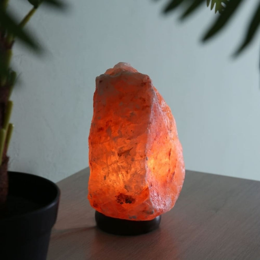 Product: OnEarth Natural Rock Shape Himalayan Salt Lamp