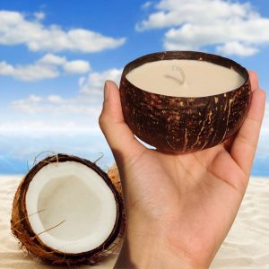 Product: OnEarth Soy Wax Candle – Coconut Shell (100g)