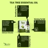Product: Kalp Pack of 3 Essential Oil, Peppermint, Rosemary, Tea Tree- 15ml Each