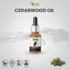 Product: Kalp Pack Of 03 Essential oil Basil, Cinnamon, Cedarwood- 15ml Each