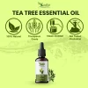 Product: Kalp Pack of 3, Essential Oil, Lavender,Tea Tree & Orange- 15ml Each