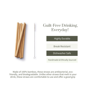 Product: Ecotyl Bamboo Straw – Set of 6 + Straw Cleaning Brush  (6 Pc)