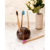 Product: Coconut Shell Toothbrush Holder