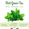 Product: Natures Park Mint Green Tea – Ever Refreshing Blend of Loose Green Tea Leaves and Sun Dried Mint Leaves – Immunity Booster and Rejuvenate Mint Green Tea Can (100 g)