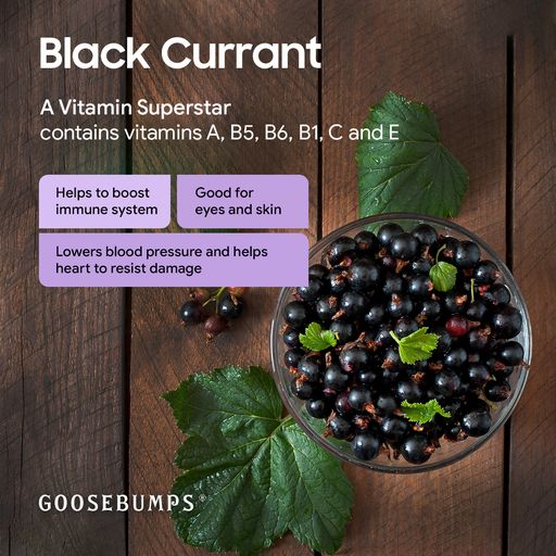 Product: Goosebumps Masala Black Currant