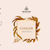 Product: Natures Park Ginger Herbal Infusion Sweet and  Spicy Aroma – Caffeine Free, Healthy with No Preservatives Ginger Herbal Infusion Tea Box