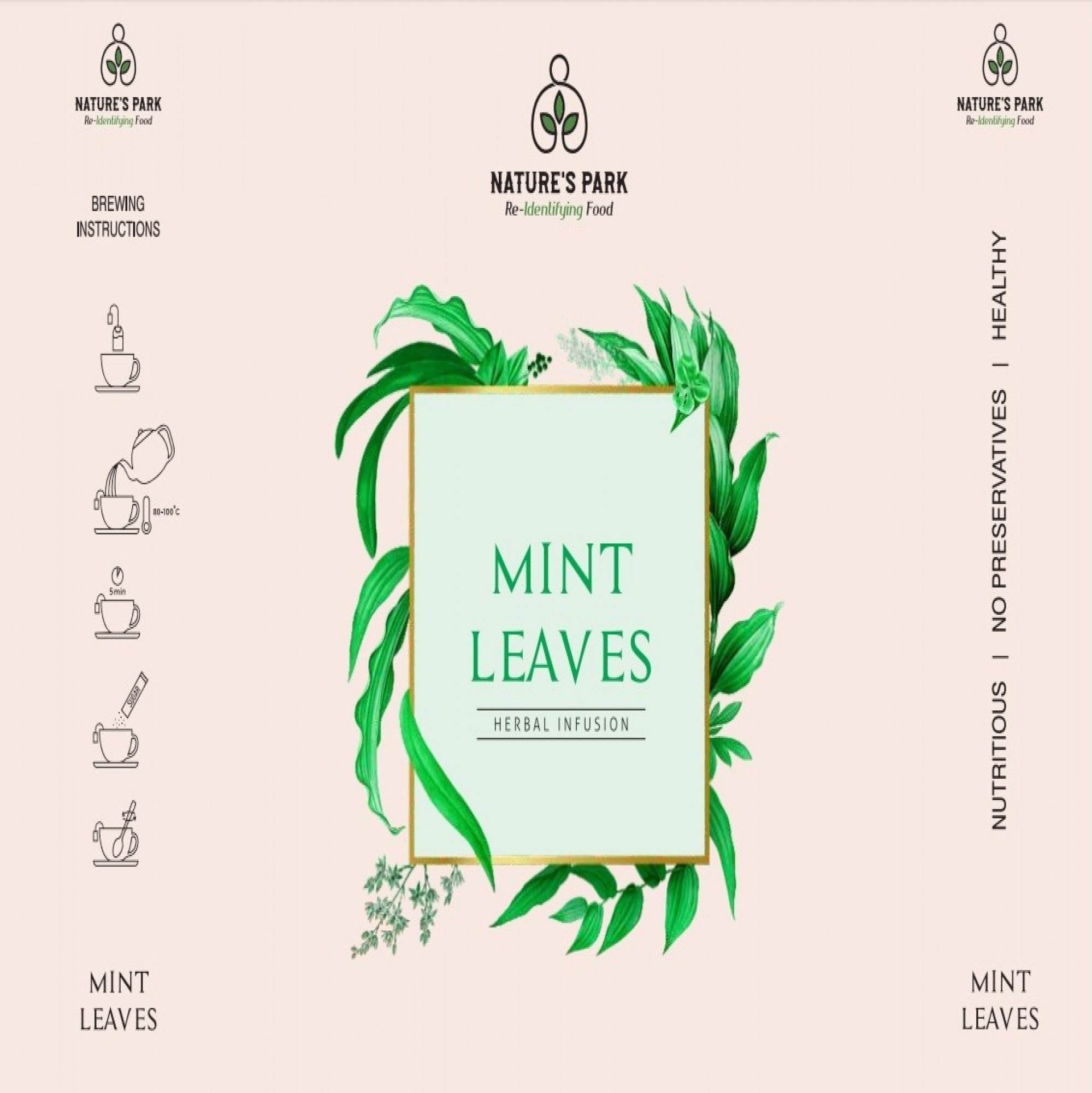 Product: Natures Park Mint Leaves Herbal Infusion – Easy Digestion, Cool and Refreshing Peppermint Mint Herbal Infusion Tea Box