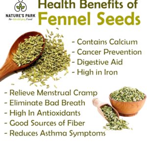 Product: Natures Park Seeds – Fenugreek Seeds Green (Methi Dana) in Pet Jar 170g