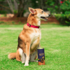 Product: India hemp & Co Good Doggo Hemp Treats 250gm
