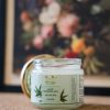Product: Daivik Moringa Aloe Moringa Gel | 100% Natural | Anti Aging, Anti Acne, Hair Growth, Moisturizer | 300 g