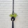 Product: Handcrafted Cotton Plant Hanger Black