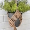 Product: Handcrafted Cotton Plant Hanger Beige