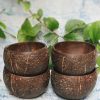 Product: Almitra Sustainables Coconut Bowl (Pack of 4)
